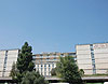 Shaare Zedek Medical
Center 